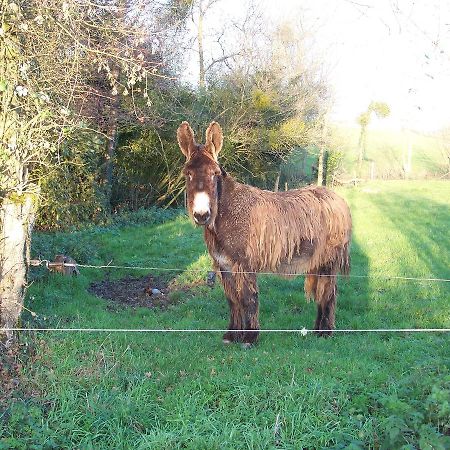 Bed and Breakfast La Genoise Tillieres Exterior foto