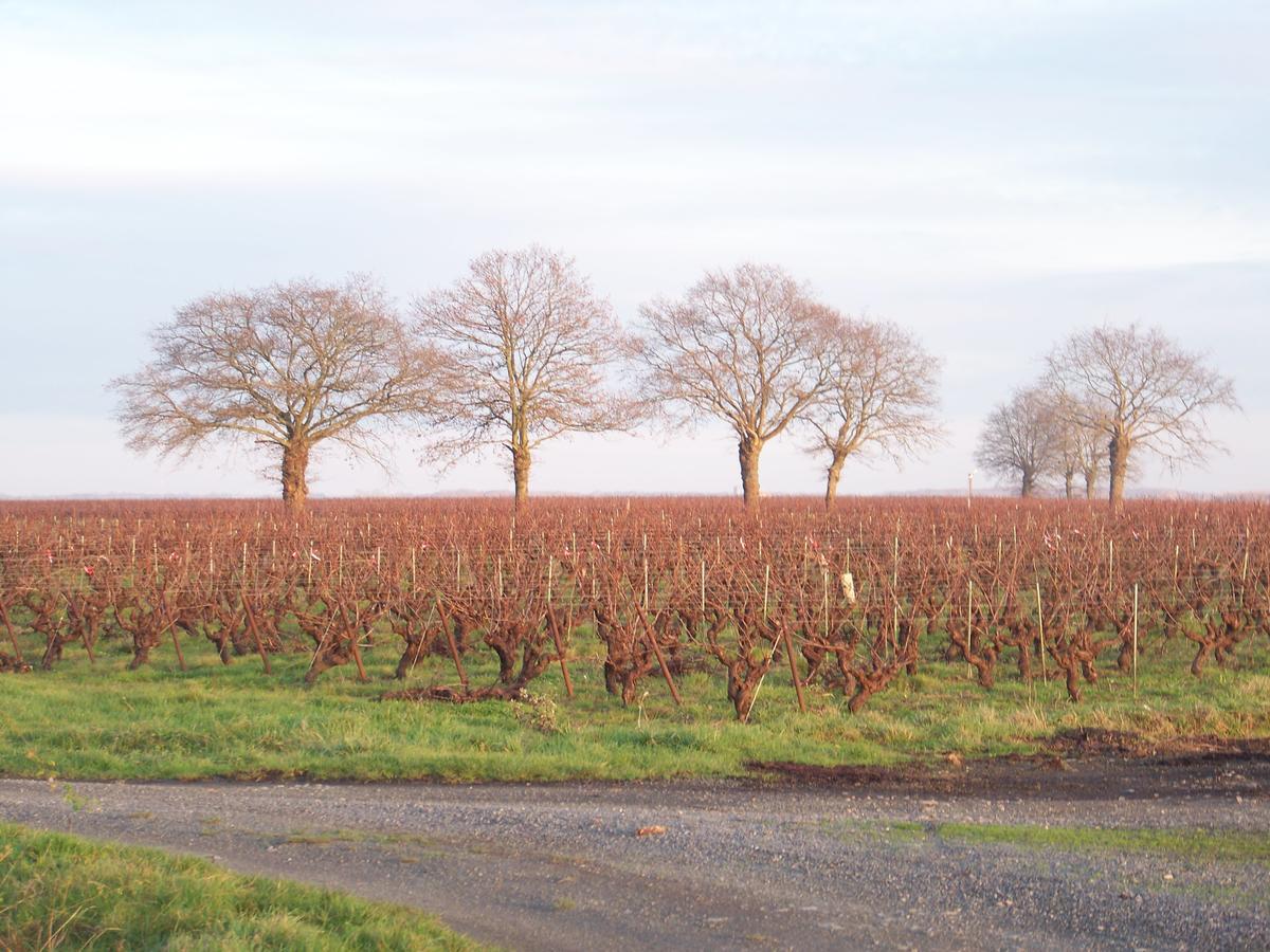 Bed and Breakfast La Genoise Tillieres Exterior foto