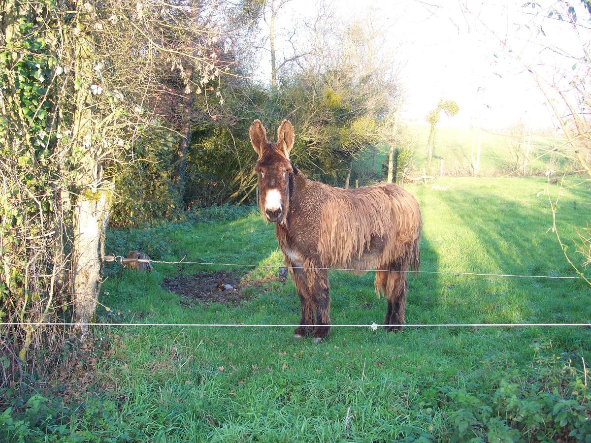 Bed and Breakfast La Genoise Tillieres Exterior foto