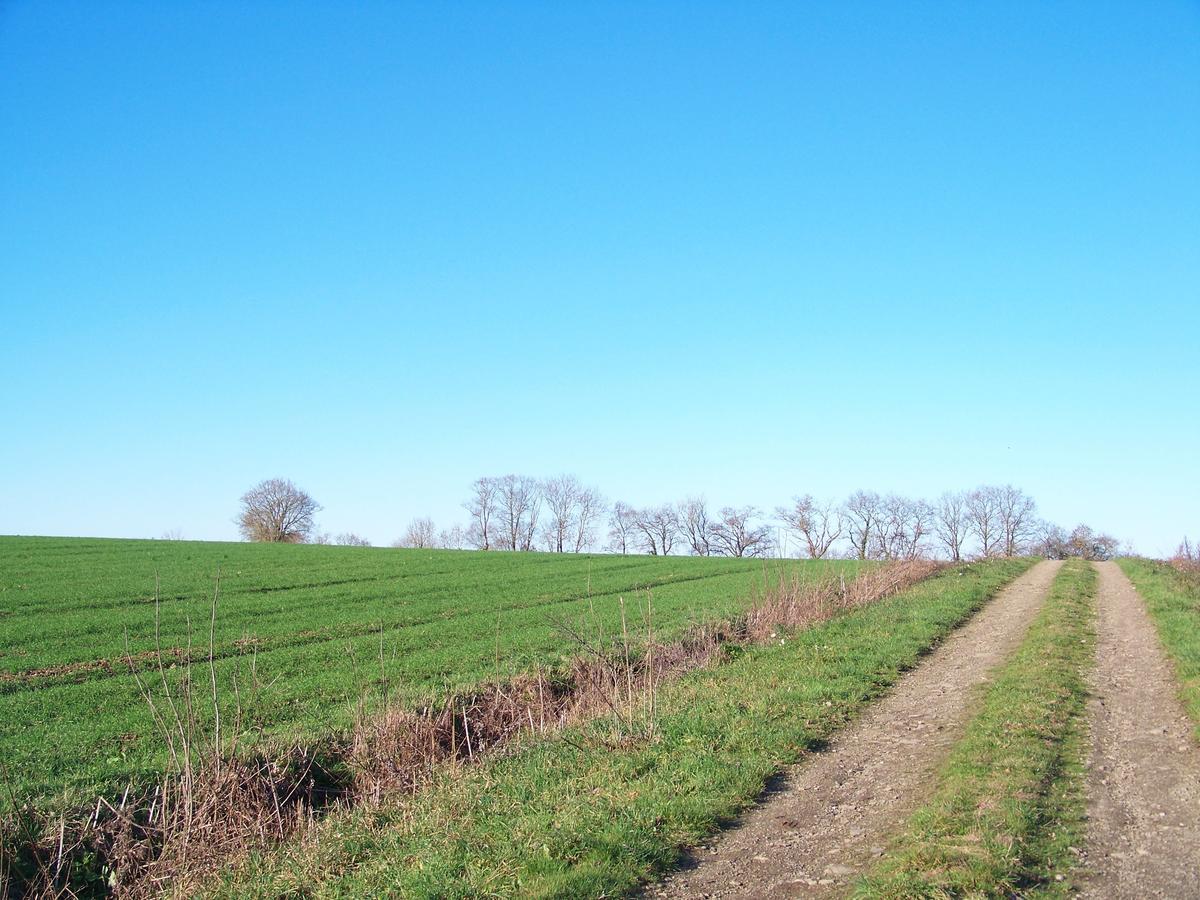 Bed and Breakfast La Genoise Tillieres Exterior foto